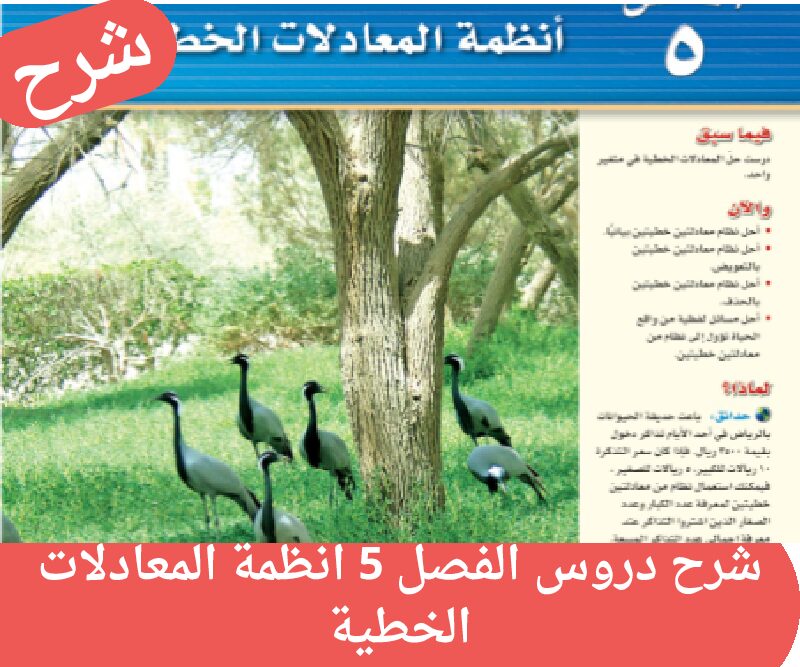 شرح درس الفصل 5 الخامس انظمة المعادلات الخطية