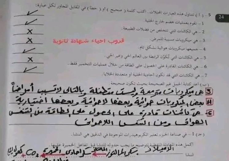 حل كتاب احياء ثالث ثانوي منهج ليبيا PDF التدريبات