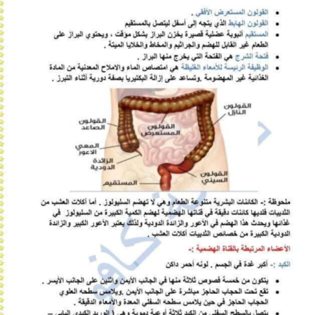 ملخص الاحياء اول ثانوي الفصل الثاني مناهج ليبيا