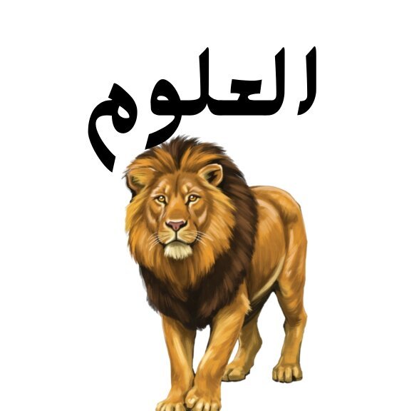 مادة العلوم