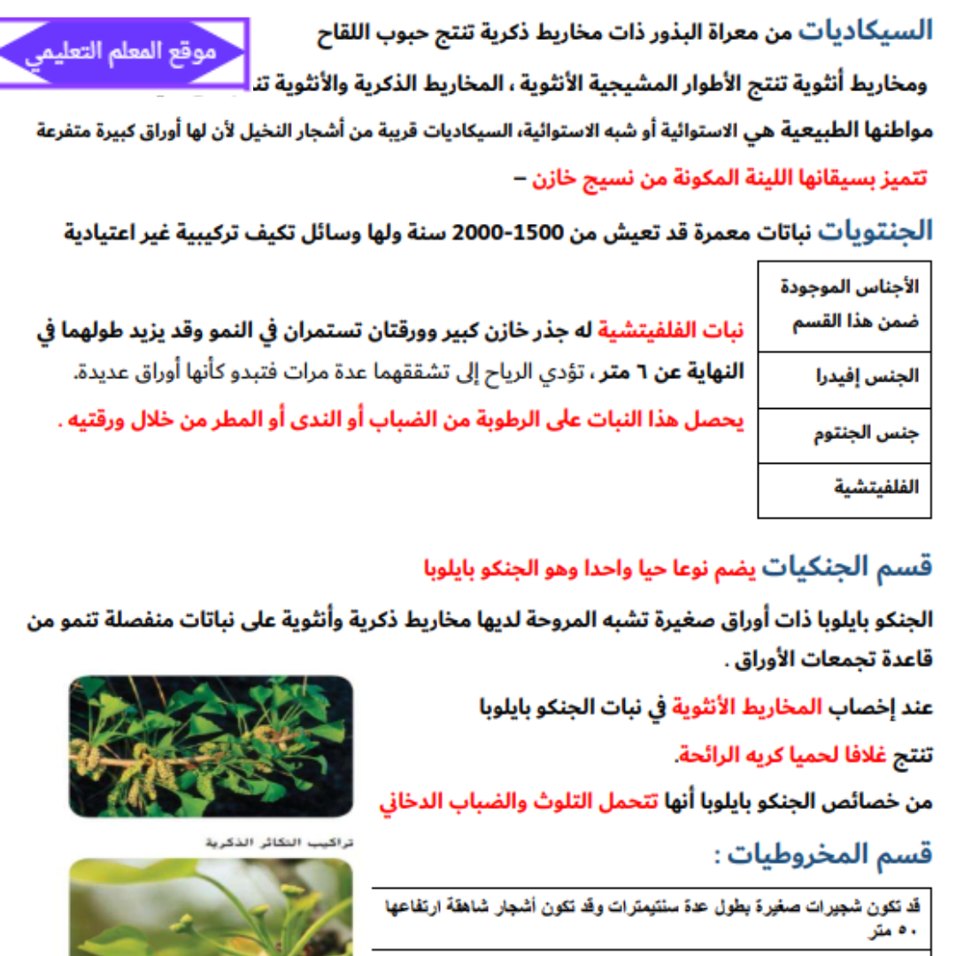 حل كتاب الاحياء الصف العاشر الفصل الاول الامارات