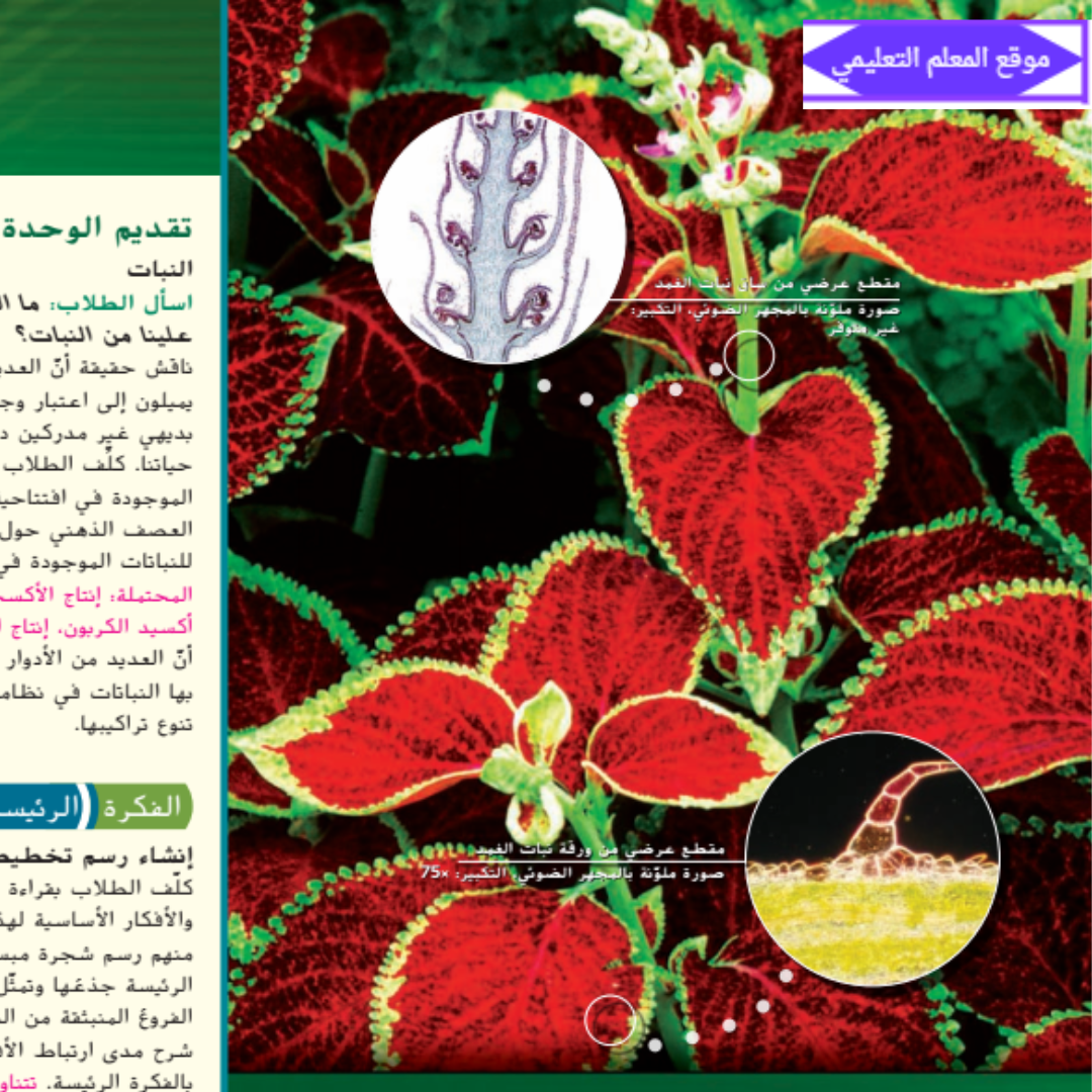 دليل المعلم احياء الصف العاشر الفصل الاول الامارات